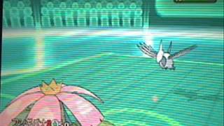 Wifi Battle 296: KRDsonic vs. Jolteezy (Weavile sweep!)