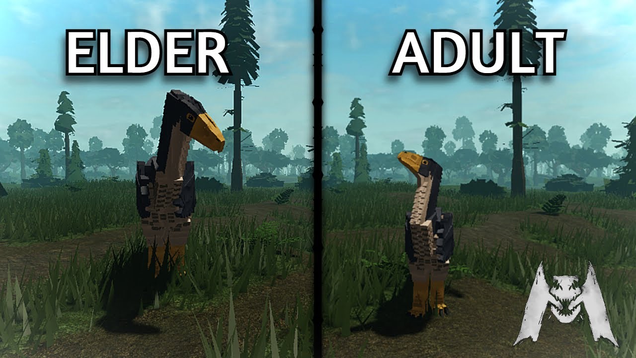 Everything You NEED TO KNOW About Eldering - Mesozoico