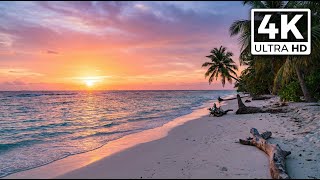 4K Ocean Waves ASMR for Deep Relaxation | Gentle Sea Sounds for Sleep Vol 76