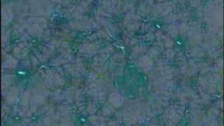 Demo_clip_03_320.flv