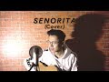 Señorita (Cover) - Shawn Mendes &amp; Camila Cabello (by Arvian Dwi)