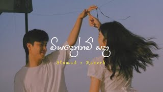 Miyadennam sada - මියදෙන්නම් සදා (slowed   reverb) 