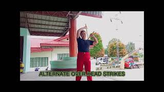 THE COURTESY BOW, 15 ARNIS BASIC STICKS EXERCISE , 12 BASIC STRIKES AND SOLO BASTON