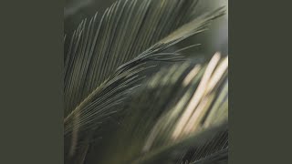 Untitled Quiet Loop #2