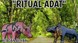Ritual Adat Keboan Aliyan 2025