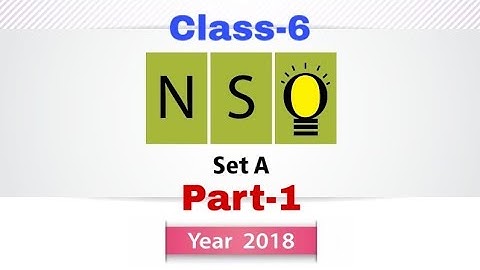 NSO Class 6 2018 Set A question paper with answers
