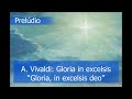 Glória Vivaldi - Gloria in Excelsis