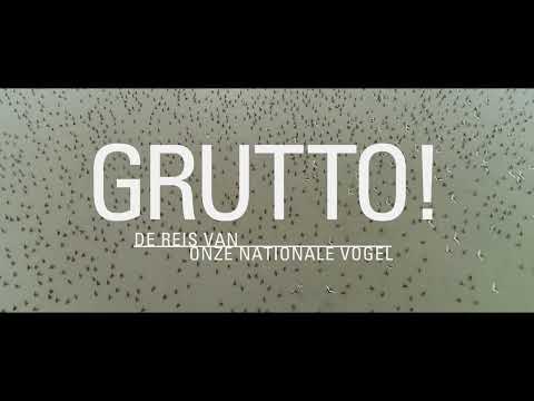 Grutto! - de officiële trailer