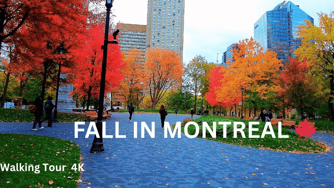 Fall in Montreal 🍂 | Peaceful 4K Walking Tour Through Downtown Streets ...
