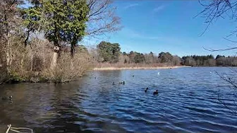 Stover Country Park (Short)