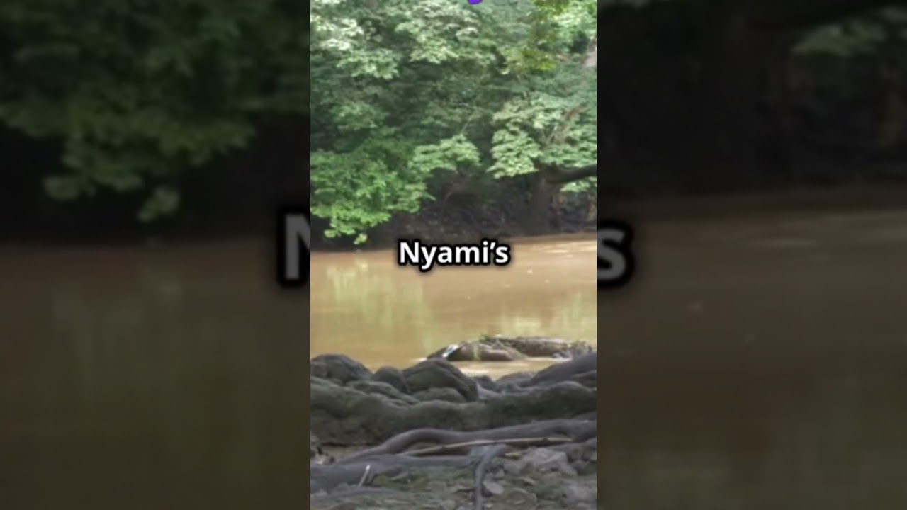 Spine Chilling Tale of the Nyami Nyami River God in Zimbabwe 