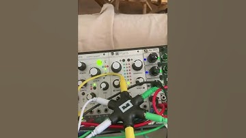 Dub Techno Eurorack Jam with Mutable Instruments Marbles, Plaits, & Noise Engineering Manis Iteritas