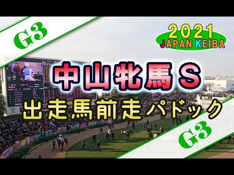 【競馬パドック】中山牝馬S（2021年）前走パドック