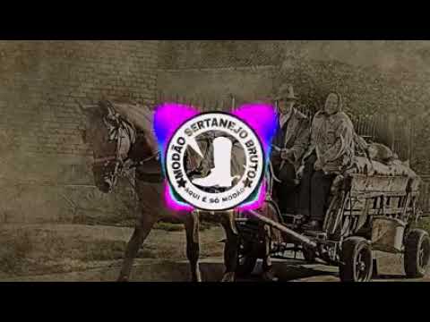 seleção de bailão sertanejo bruto