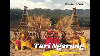 Download Lagu Tari Ngerong │Festival Ujungan 2019 │ Kembang Pare MP3