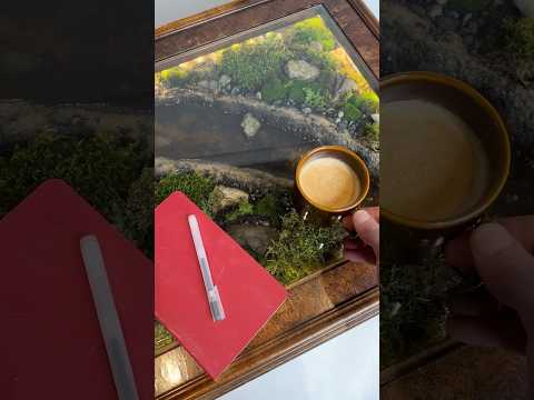 I Built a Living Forest in a Table