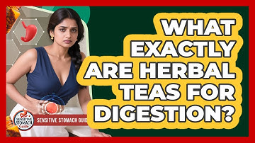What Exactly Are Herbal Teas For Digestion?