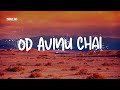 Od Avinu Chai (Our Father Lives) by Rabbi Shlomo Carlebach