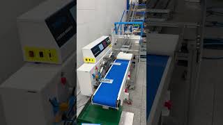 Automatic Sealing Machine for Fever Patches, Face Masks, Medicated Plasters, Pain Relief Patches