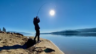 Extracting Trout from a Big Bear Honey Hole (w/ Gourmet Pasta!) | SOLO Camp