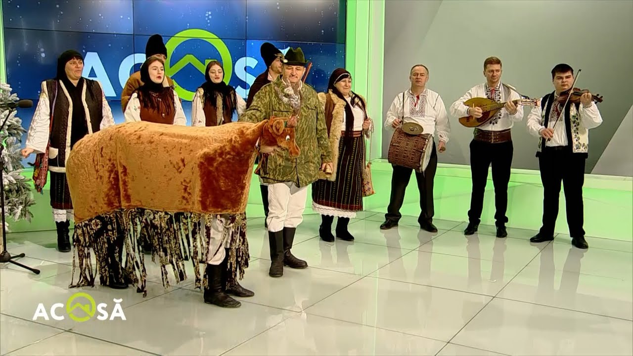 Ursul, capra, berbecul şi caii, ACASĂ, de Anul Nou, veniţi de la Străşeni