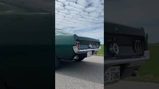 1967 Ford Mustang Fastback | REAL V8 Sound, Iconic Muscle Car Walkaround (Iowa) #fypシ #automobile