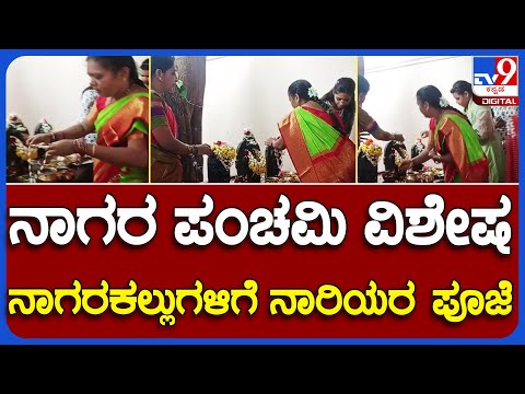 Nagarapanchami: ನಾಗರ ಪಂಚಮಿ ಹಿನ್ನಲೆ - ಕಲಬುರಗಿಯಲ್ಲಿ ನಾಗರಕಲ್ಲುಗಳಿಗೆ ಹಾಲೆರೆದ ಭಕ್ತರು | #TV9B