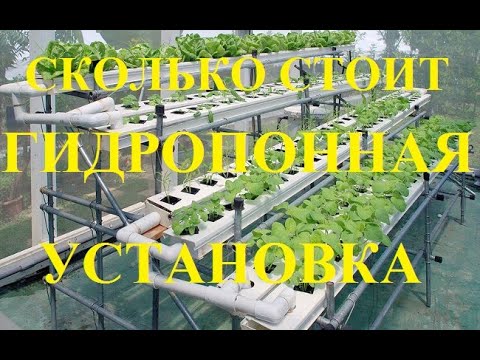 Сколько стоит многоярусная гидропонная установка для клубники? Как и из чего ее построить?