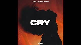 VNDTT & Just Pedro - Cry