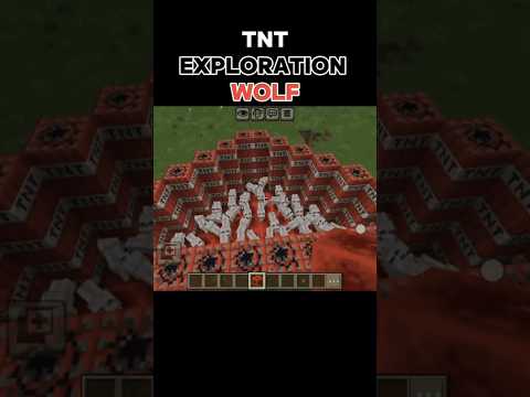 tnt exploration wolf #minecraft