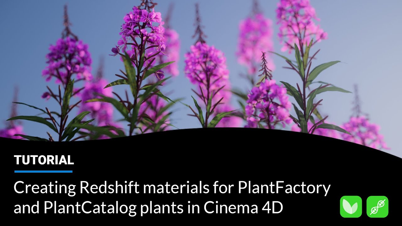 Creating Redshift materials for PlantFactory and PlantCatalog plants in  Cinema 4D