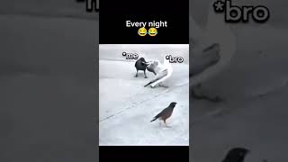 pubg players be like #relatable #pubg #shorts