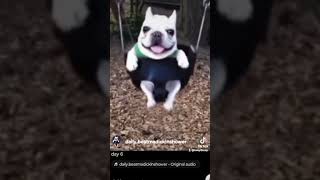 Beat My In The Shower