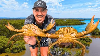 2 Day MONSTER MUD CRAB Adventure - Catch And Cook