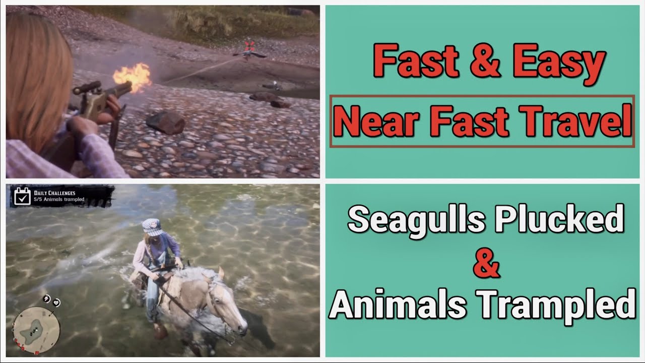 Seagulls Plucked & Animals Trampled