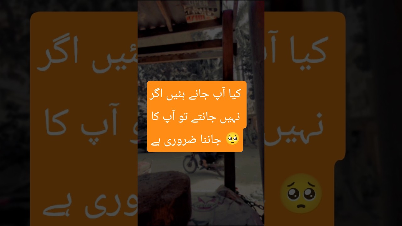 &ldquo;یہ بات شاید آپ نے کبھی نہیں سنی! | NoorSafar Urdu | Islamic Knowledge in Urdu&rdquo;#nooresafar786