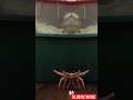 petting zoo anomalies funny video #funny #shorts