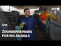 Gaza zookeeper fears for his animals as war takes its toll | AFP