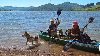 Meu Cachorro Viu Uma Capivara E Mergulhou Do Barco.