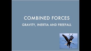Gravity, Inertia and Free Fall