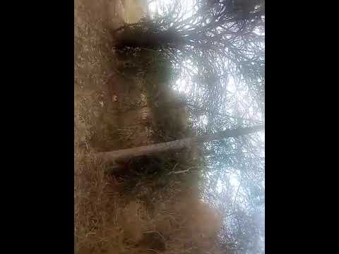 A Walk Around Machakos DICECE MercyNguku The World Traveller Worshipsongrewritten