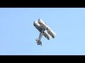 450hp stearman aerobatic practice