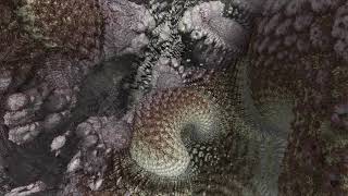mandelbox c