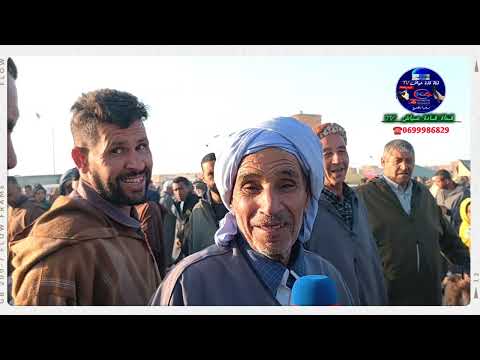 زيارة  لـ  سوق فوغالة للمواشي ولاية بسكرة بـ تاريخ 27 افريل 2024 لمعرفة اسعار الاغنام و الأعلاف.