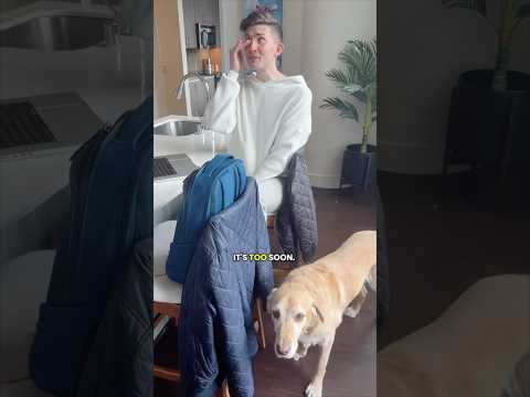 My guide dog is retiring 🥹 #shorts