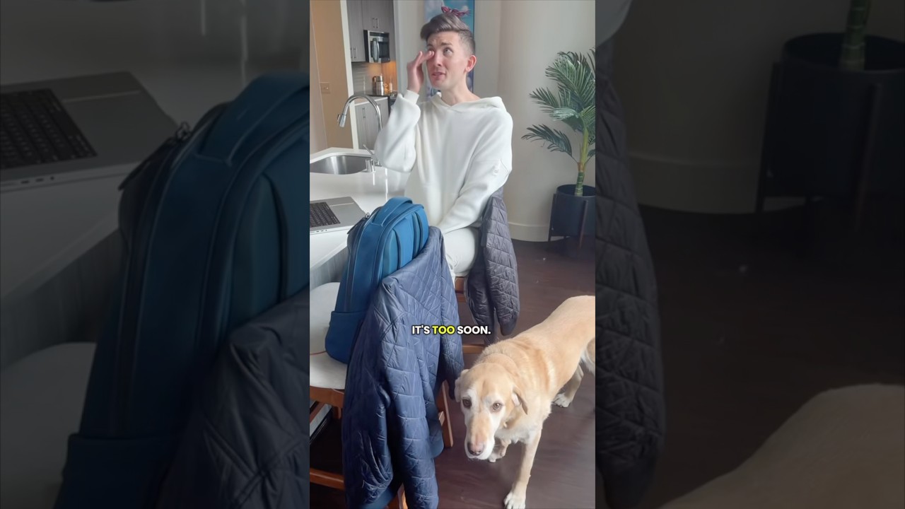 My guide dog is retiring 🥹 