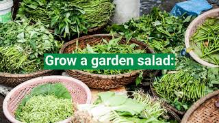 Gardening Tips E.l. Webster Insurance Agency, Inc.
