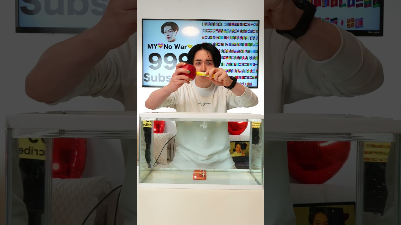 POV X BTS RED & WHITE PPAP?! 🔴⚪🍍👀🎬