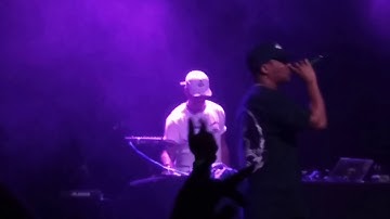 Lupe Fiasco Dopamine (Lit)