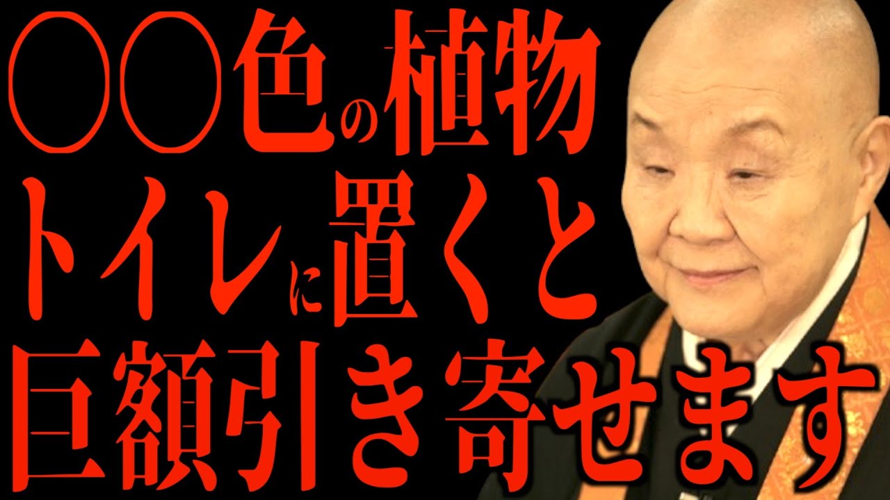 【瀬戸内寂聴】トイレにこの植物を置くだけで金運が爆上がりします…運気が上がる観葉植物について